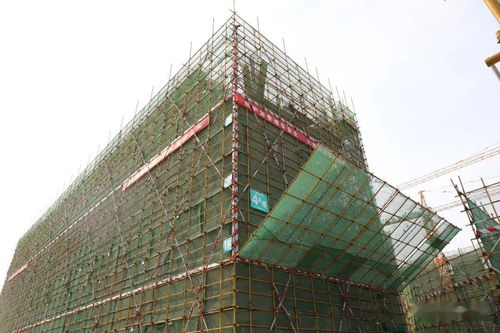 發(fā)展為要 項目為王 實干為先 我區(qū)召開重點基礎設施建設項目觀摩總結會